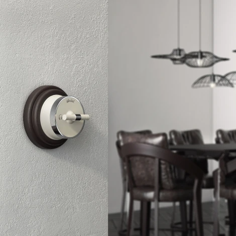 Переключатель / выключатель одноклавишный Vintage (слоновая кость матовый/хром) Werkel W5812055 (a055917)