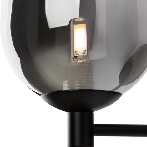 Бра Freya Tesse FR1011WL-01B (220V)