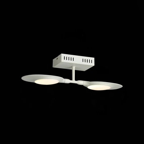 Настенно-потолочный светильник ST Luce Farfalo SL824.501.02