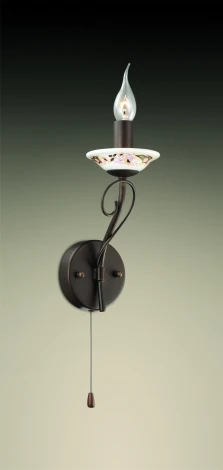 Бра Odeon Light Riva 2529/1W