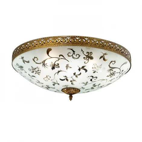 Потолочный светильник Odeon Light Wesli 2547/5