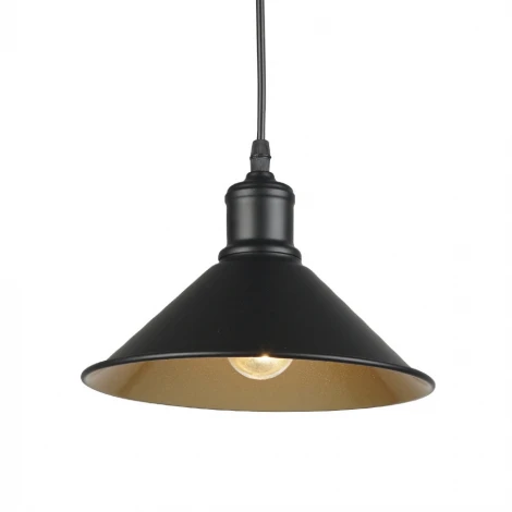 Подвесной светильник Wedo Light Ermina 66568.01.69.01