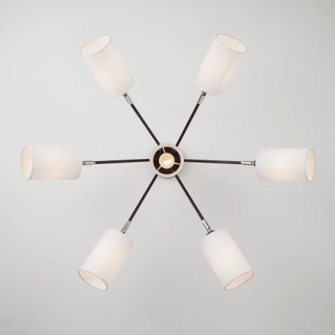 Потолочная люстра Eurosvet Duetto 70072/7 белый