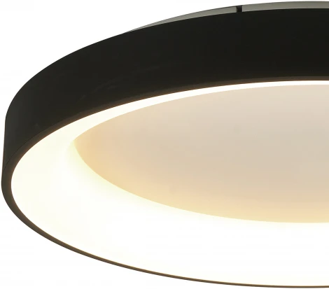 Потолочный светильник круглый Mantra Niseko 8581 (регулировка яркости, LED, 220V, пульт управления, круглые)