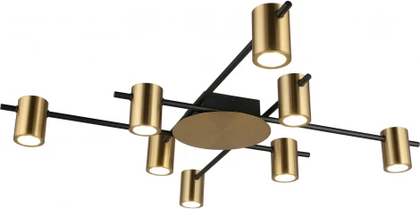 Потолочная люстра на штанге Aployt Elwisia APL.633.07.08 (220V)