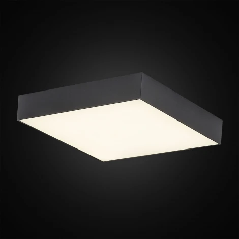 Накладной точечный светильник Citilux Тао CL712X242N (регулировка яркости, LED, 220V)