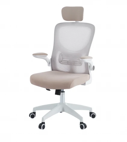 Офисное кресло Chairman CH633 белый пластик, бежевый