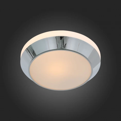 Настенно-потолочный светильник ST Luce Bagno SL469.502.01