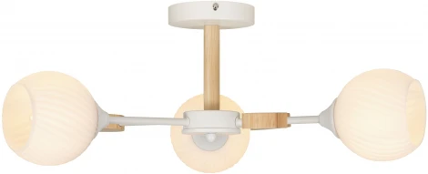 Потолочная люстра на штанге Rivoli Chiara 9180-303