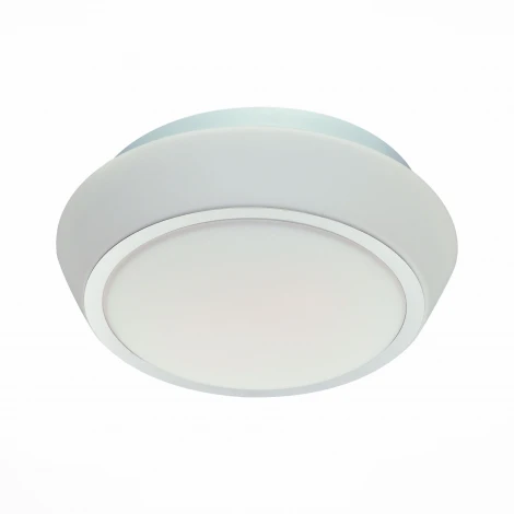 Настенно-потолочный светильник ST Luce Bagno SL496.502.02