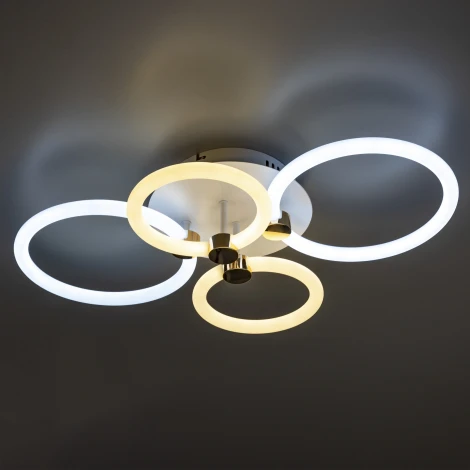 Потолочная люстра светодиодная с ДУ Ritter Ottimo 51612 9