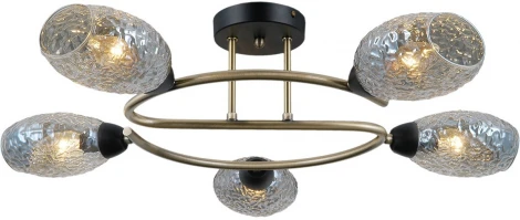 Потолочная люстра на штанге ILLUMICO IL0300-5CSQ-79 BK AB (220V)