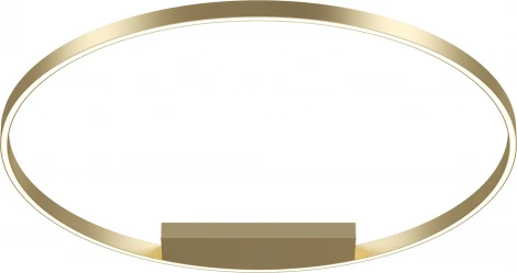 Потолочный светильник круглый Maytoni Rim MOD058CL-L65BSK (LED, 220V, кольцо)