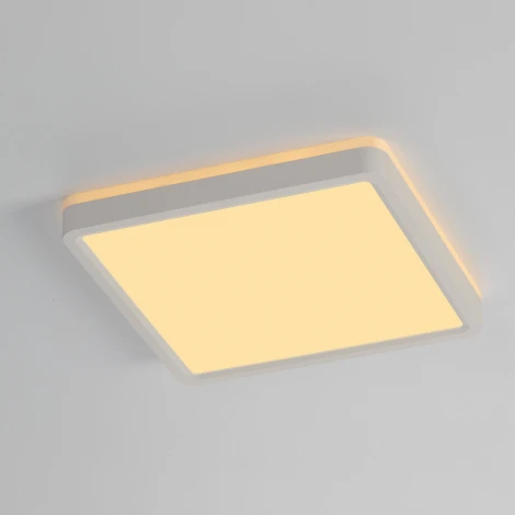 Настенно-потолочный светильник светодиодный с подсветкой Citilux Norma CL748K200 (220V, IP40)