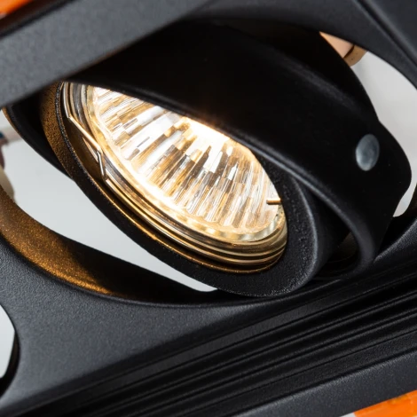 Встраиваемый точечный светильник Arte Lamp Canis A6661PL-2BK (220V)