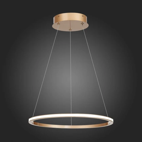 Подвесной светильник ST Luce St604 Out ST604.243.22 (LED, 220V, на тросе, кольцо)
