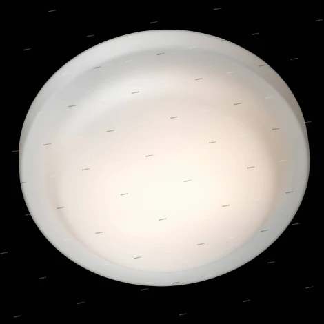 Настенно-потолочный светильник Odeon Light Tavoy 2760/3C