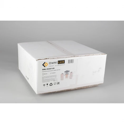 Потолочная люстра Omnilux Pisticci OML-55307-05 (220V)