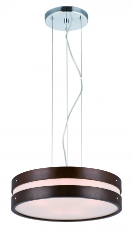 Подвесной светильник ST Luce SL675 SL675.703.04