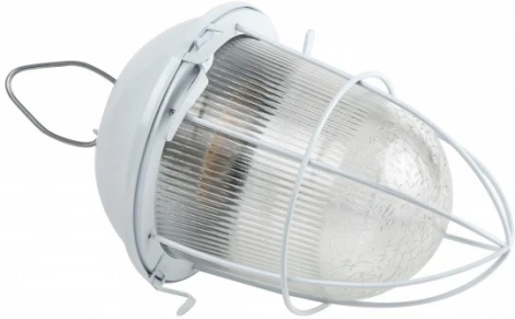 Подвесной светильник ЭРА НСП 41-200-003 (220V, IP54)