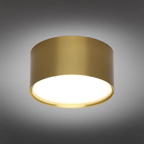 Накладной светильник Omnilux Abano OML-103329-12 (LED, 220V, круглые)