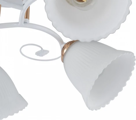 Потолочная люстра на штанге Arte Milano AMALFI-325395 325395/5A WH+FG (220V)