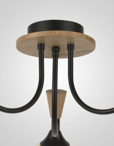 Потолочная люстра Мелодия Света SS1N 000023955