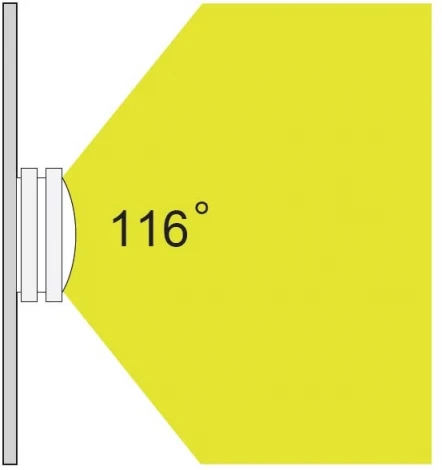 Потолочный светильник уличный Oasis Light SIDNEY 3361 Gr