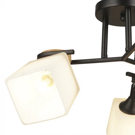 Потолочная люстра Wedo Light Ivetta 66582.01.14.03