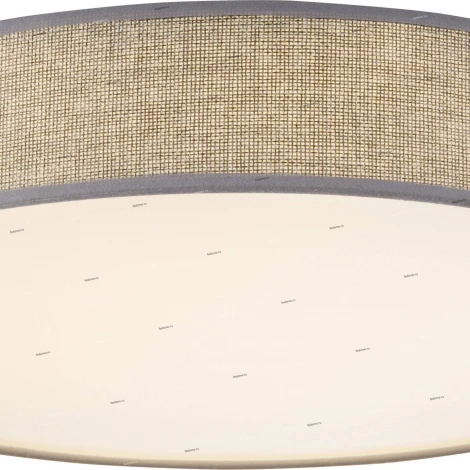 Потолочный светильник Globo Amy 15185D2