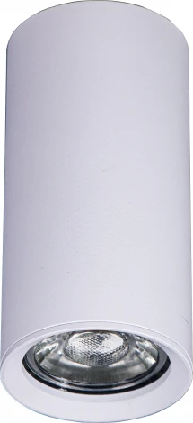 Накладной светильник Brizzi Aras BR08093