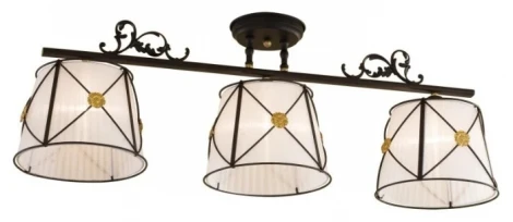 Потолочная люстра Citilux Дрезден CL409231 (220V)