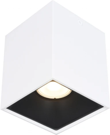 Светильник потолочный ST Luce ST168.542.01 Белый GU10 1*50W 220V