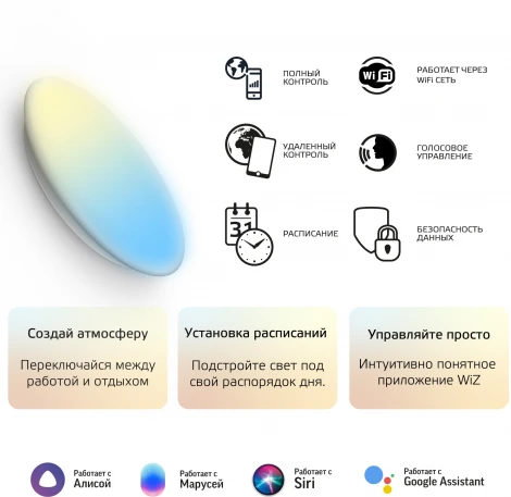 Настенно-потолочный светильник Gauss SmartHome 2060112 (регулировка яркости, LED, 220V, управление смартфоном, голосовое управление, умный дом - Алиса, Маруся, Сири)