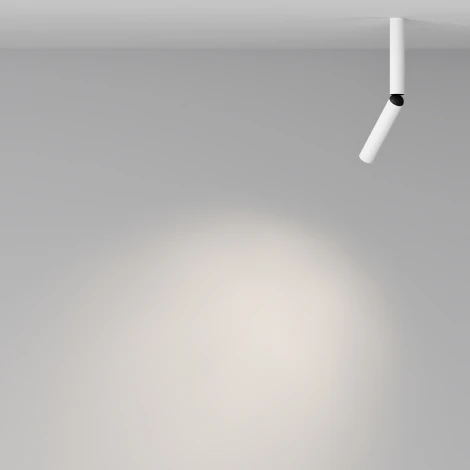 Накладной потолочный светильник Maytoni Focus T C142CL-6W4K-W (LED, 220V, круглые)