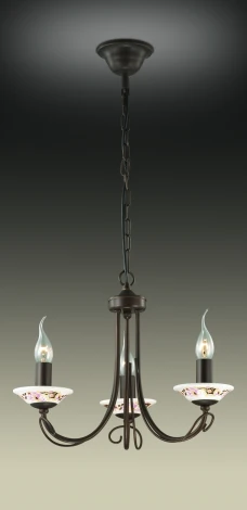Подвесная люстра Odeon Light Riva 2529/3