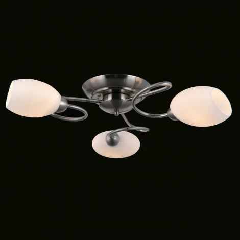 Потолочная люстра Фиеста 267014503