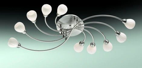Потолочная люстра Odeon Light Akron 2469/10C