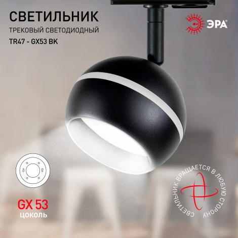 Трековый светильник ЭРА TR47 - GX53 BK (220V, шар)