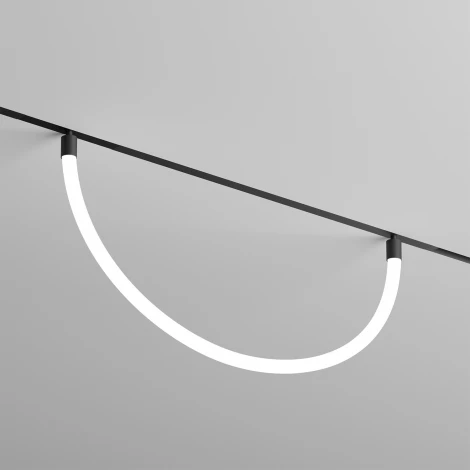 Трековый светильник с гибким неоном 220 Denkirs Smart Ray DK8060-BK (LED, пульт управления)