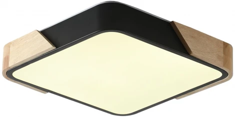 Потолочный светильник Zortes Alberro ZRS.01281.24 (LED, 220V)