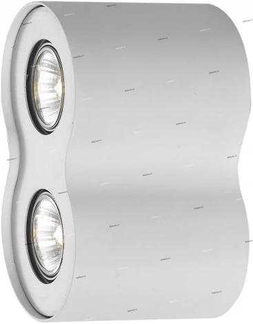 Потолочный светильник Arte Lamp Falcon A5633PL-2WH (220V)