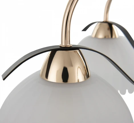 Потолочная люстра на штанге Arte Milano Napoli 327306/5 FG+BK (220V)