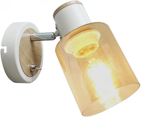 Спот Rivoli Jamilly 7057-701 (220V, выключатель)