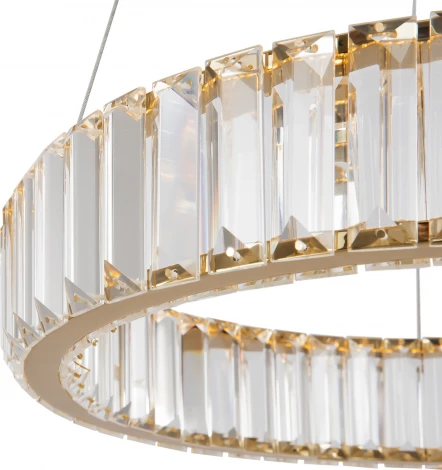 Подвесной светильник Freya Tier FR5257PL-L17G (LED, 220V, на тросе, круглые)