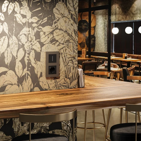 Рамка на 2 поста (бронза софт) Werkel W0022963 (a062812)