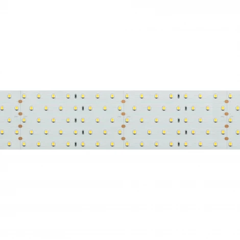 Светодиодная лента RT 2-2500 24V Day4000 5x2 (2835, 875 LED, LUX) (Arlight, 36 Вт/м, IP20) 019081(B)