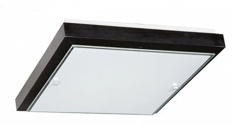 Настенно-потолочный светильник Дубравия Полина 106-41-24/2