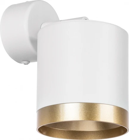 Спот Lightstar Rullo RBX34863490 (220V)