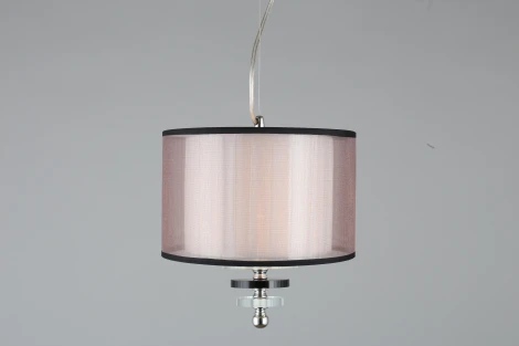 Подвесной светильник Aployt Floret APL.703.06.01 (220V, на тросе, круглые)